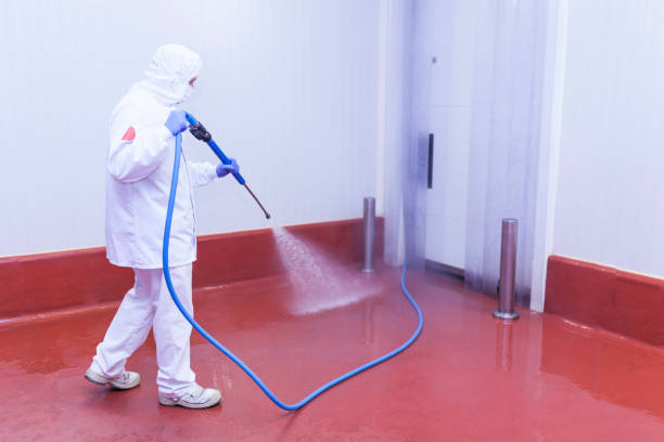 Professional Pressure Washing Services in Union City, PA